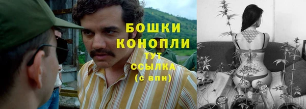 метамфетамин Белокуриха